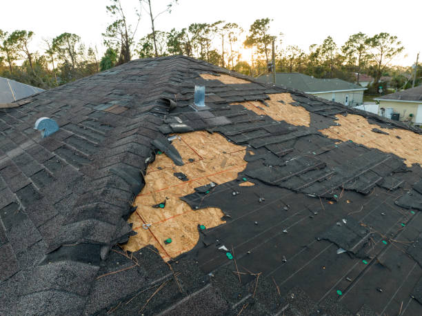 Best Metal Roofing Installation  in Mills River, NC